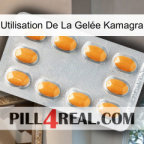 Utilisation De La Gelée Kamagra cialis3